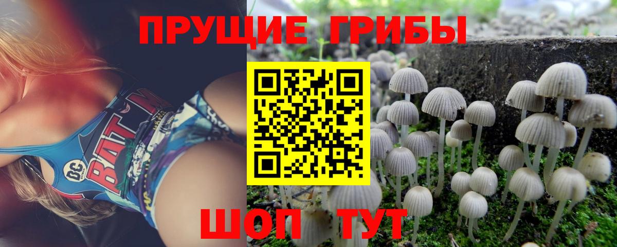 Галлюциногенные грибы Magic Shrooms  Вход с VPN  купить наркоту  Иркутск  Псилоцибиновые грибы ЛСД 
